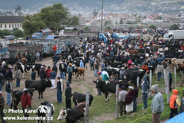 6-Otavalo (8).jpg